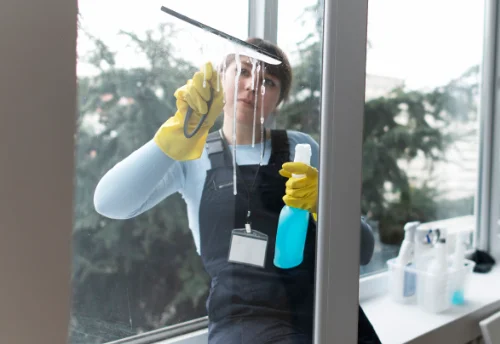 Nettoyage de vitres intérieures et extérieures à Mauvages